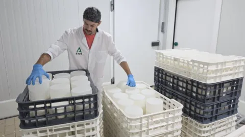 Imagen de la noticia: Alumnos del Maestro Quesero 4.0 completan prácticas en queserías de seis países y regiones